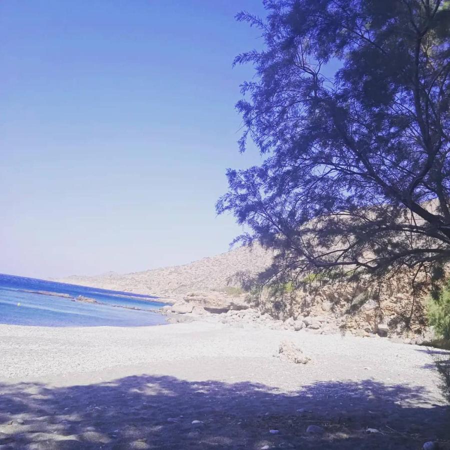Studios Anna Maria With Sea View Kapetanianá 外观 照片