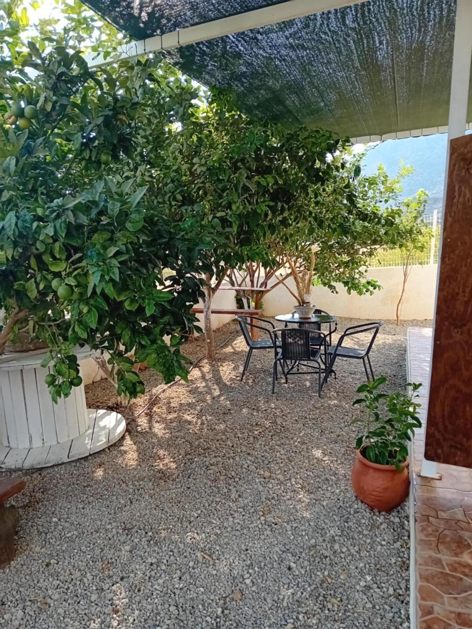 Studios Anna Maria With Sea View Kapetanianá 外观 照片
